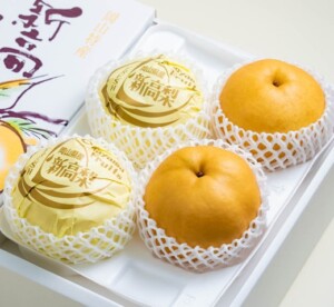 新鮮な洋梨 たくさん入った箱 赤磐市の隠れた名産品、新高梨（にいたかなし)です。 | 赤坂青空市